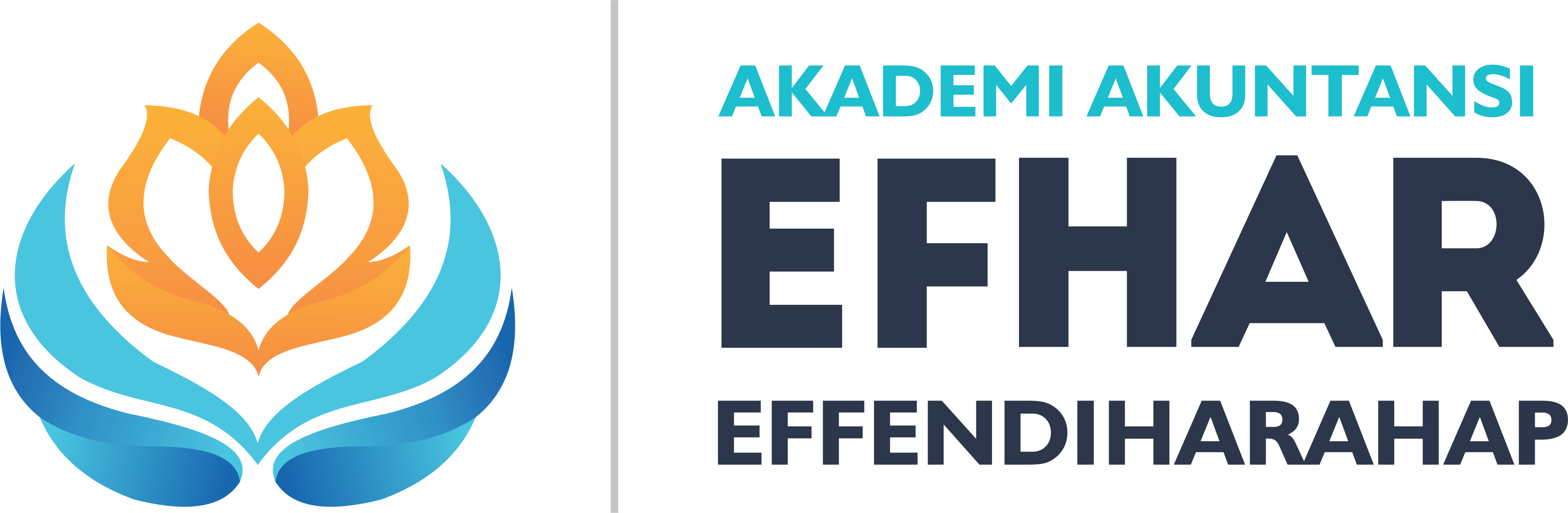 logo Akademi Akuntansi Effendi Harahap